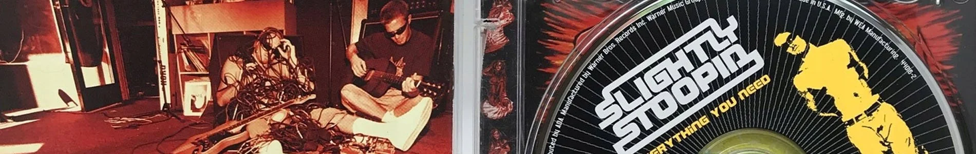 Everything You Need — Slightly Stoopid